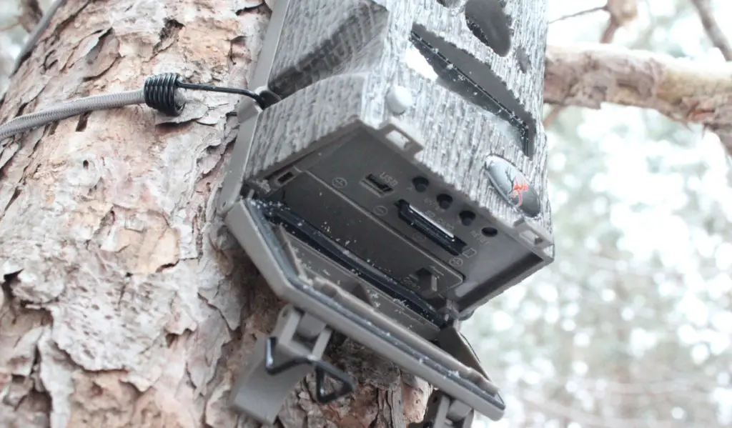 sd card for deer camera