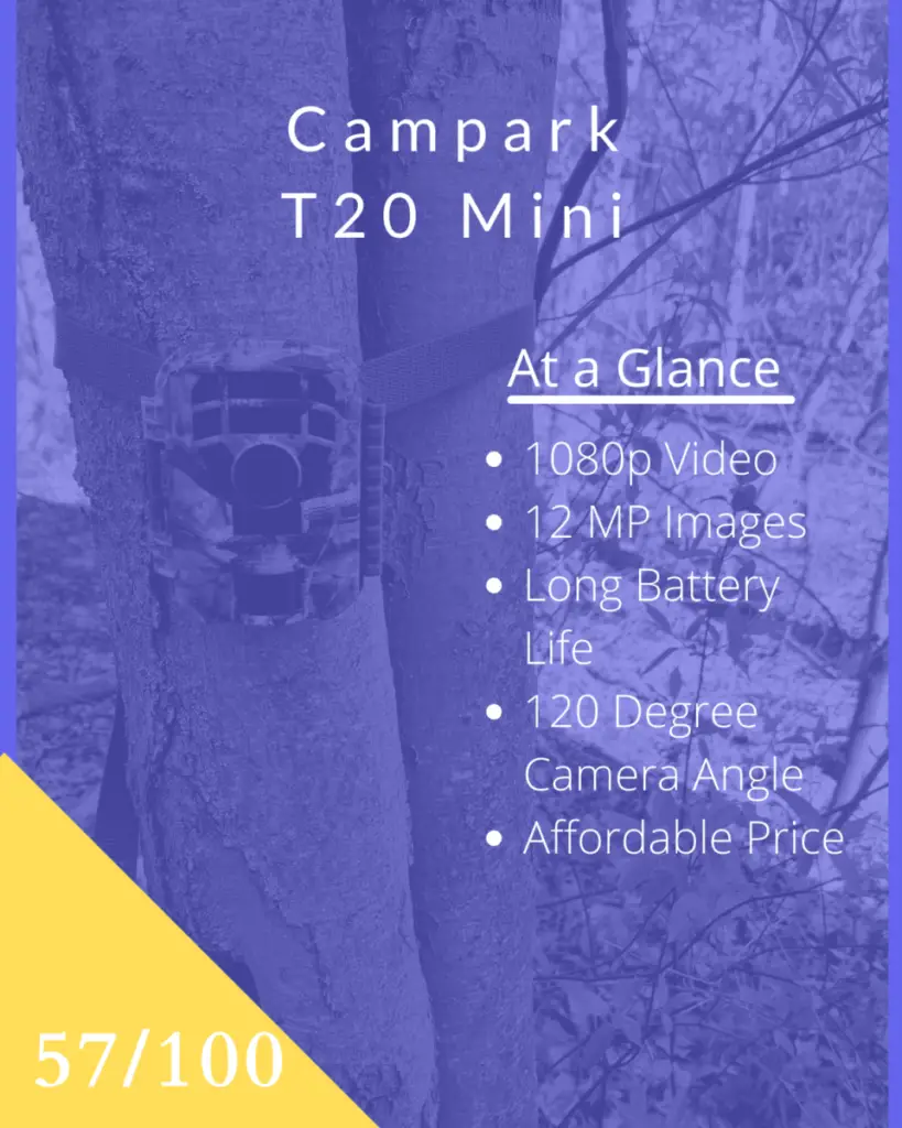 campark trail camera review